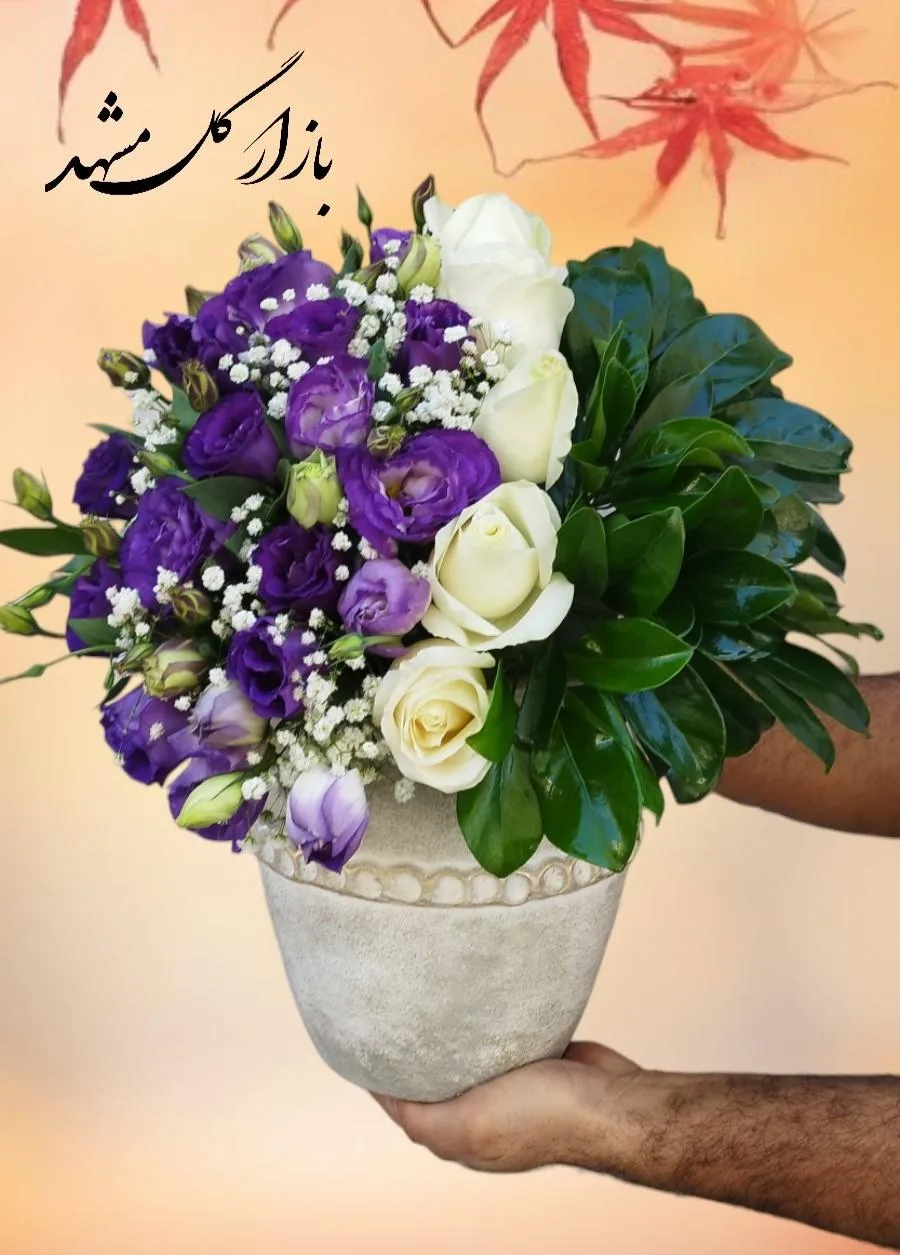 باکس گل پتینه بازار گل مشهد