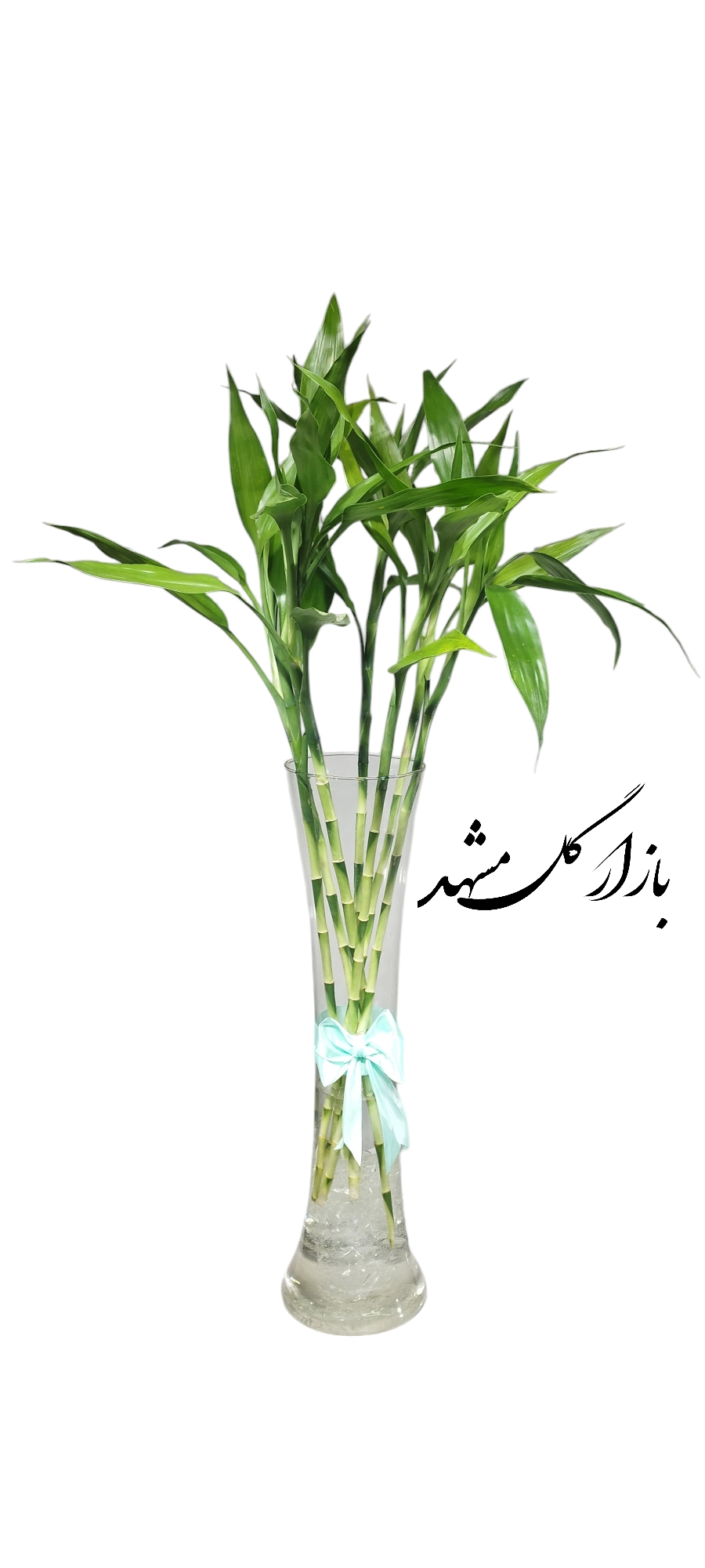 بازار گل مشهد بامبو