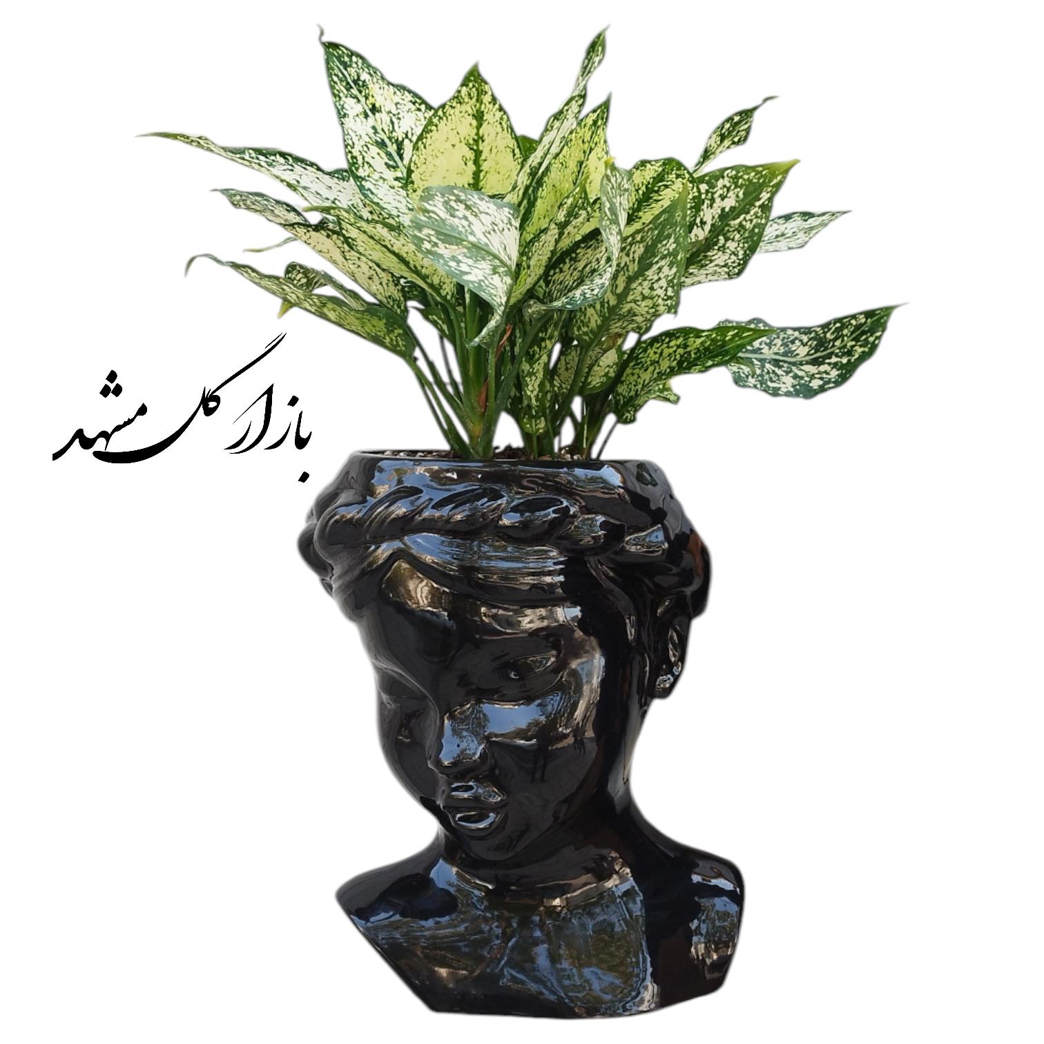 گلدان چهره آگلونما برفی بازار گل مشهد