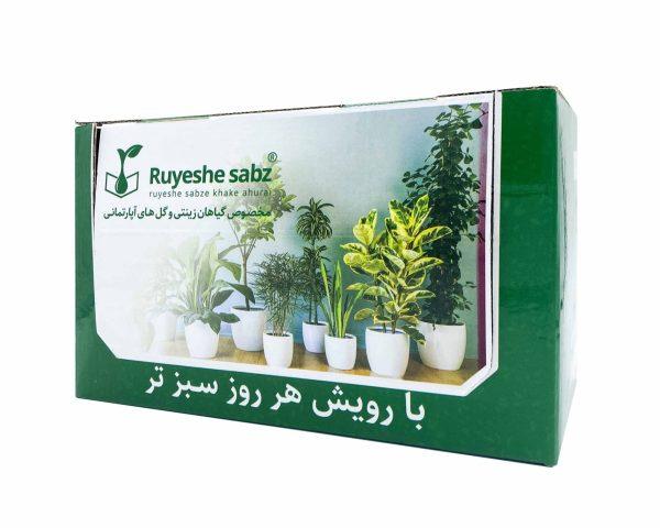 کود NKPS بازار گل مشهد